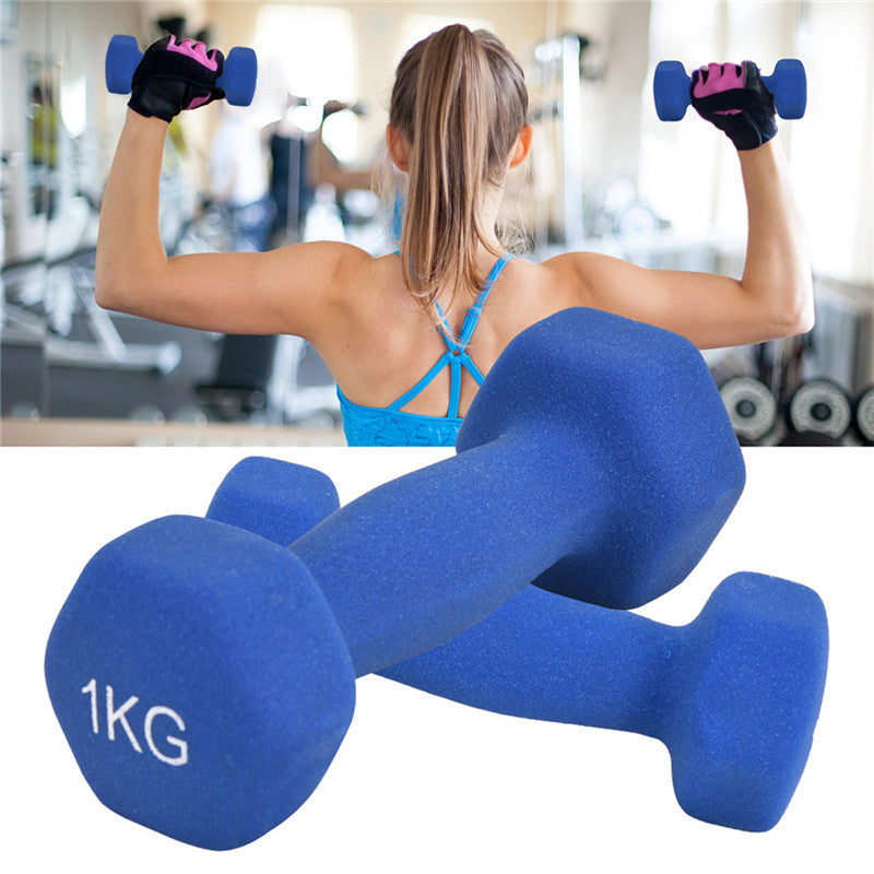 Lady Arms Household Dipped Matte Dumbbell - Cast Iron Fitness Weights for Strength Training