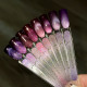 GP.1020.07g Gel Polish RUBY Collection Cat Lady Arms (2814)