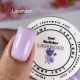 BG.0154.30gr sweet dreams builder gel Lady Arms (Lavender)