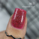 TC.031.08g Top Coat Star Dust Lady Arms